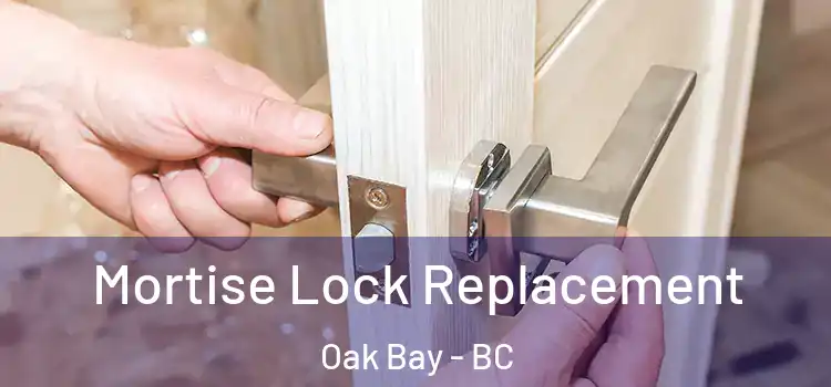  Mortise Lock Replacement Oak Bay - BC