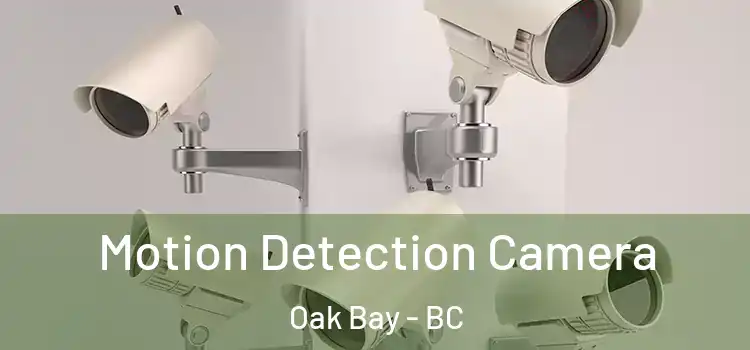 Motion Detection Camera Oak Bay - BC