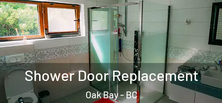  Shower Door Replacement Oak Bay - BC